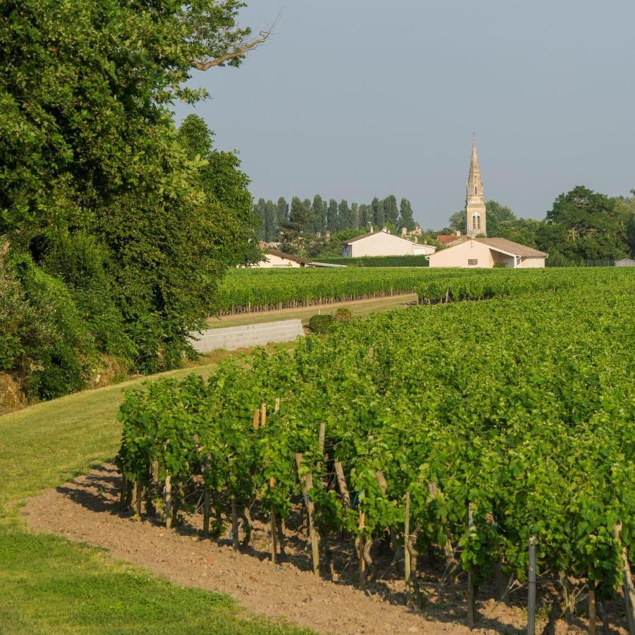 Clos De Bertinat Saint-Sulpice-de-Faleyrens Kültér fotó