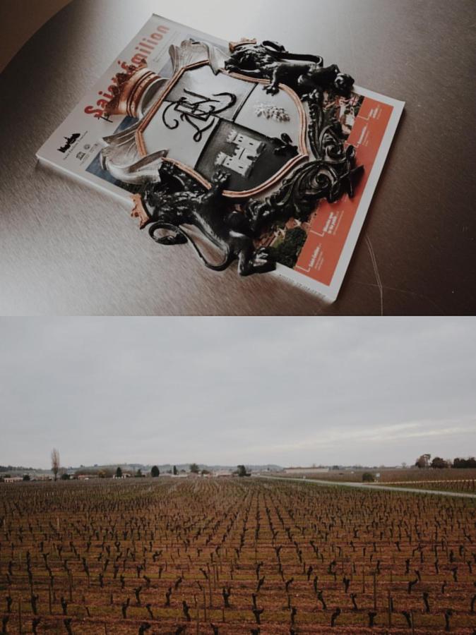 Clos De Bertinat Saint-Sulpice-de-Faleyrens Kültér fotó