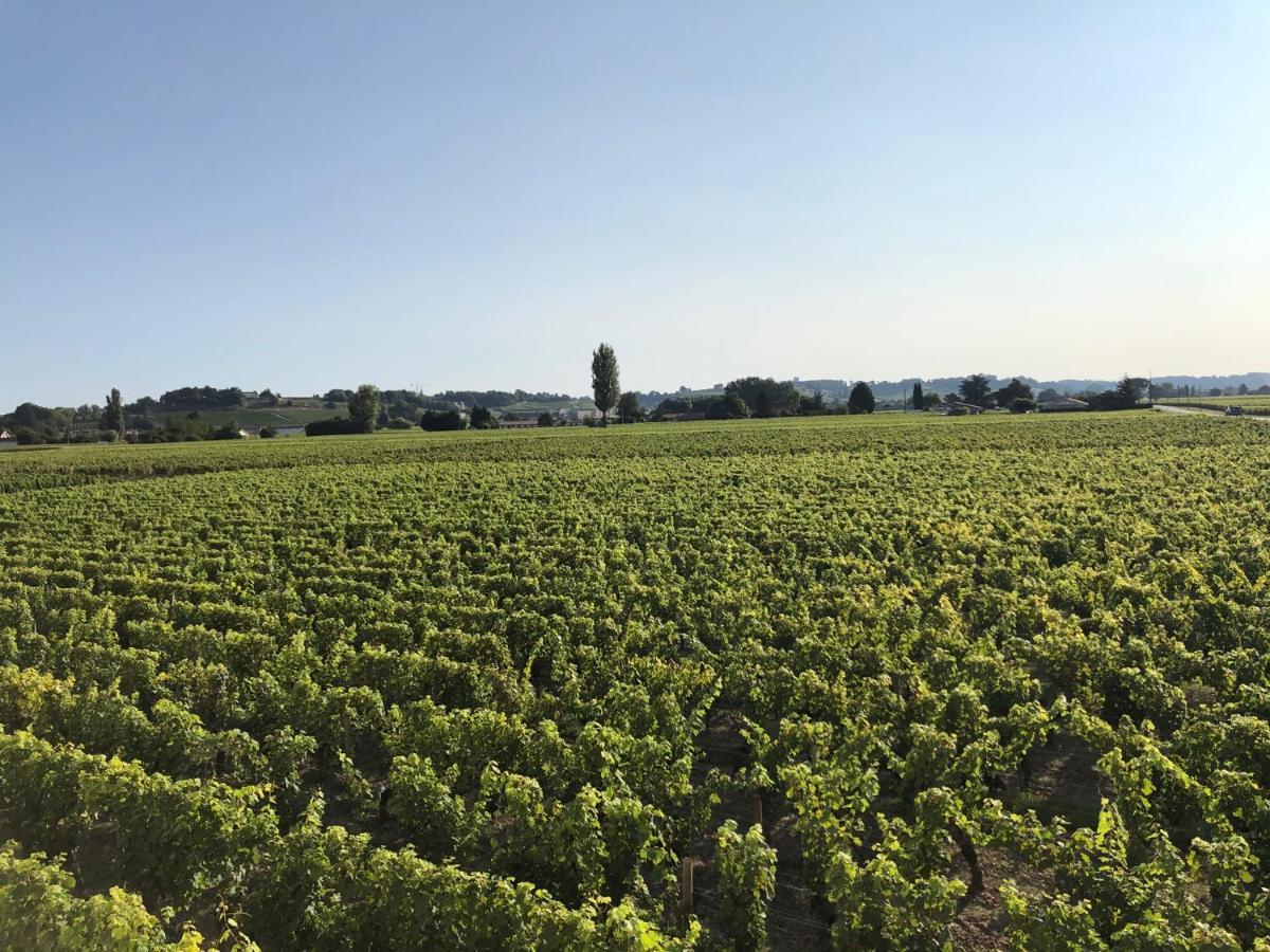 Clos De Bertinat Saint-Sulpice-de-Faleyrens Kültér fotó